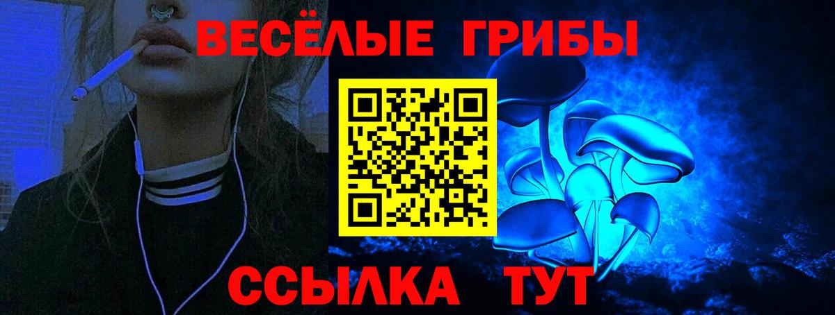 Будённовск  Галлюциногенные грибы MAGIC MUSHROOMS  Вход с VPN  Псилоцибиновые грибы прущие грибы 